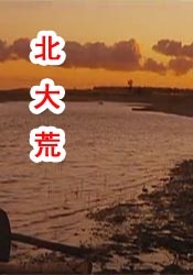 丁香婷